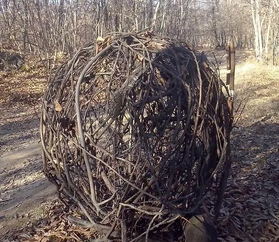 Ostello Antico Ospitale Di San Giacomo *